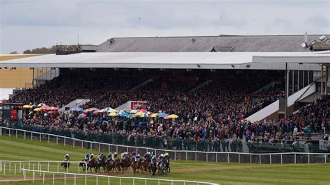Punchestown's racing manager forecasts 'perfect jumping ground' .